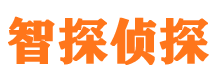 顺城外遇出轨调查取证